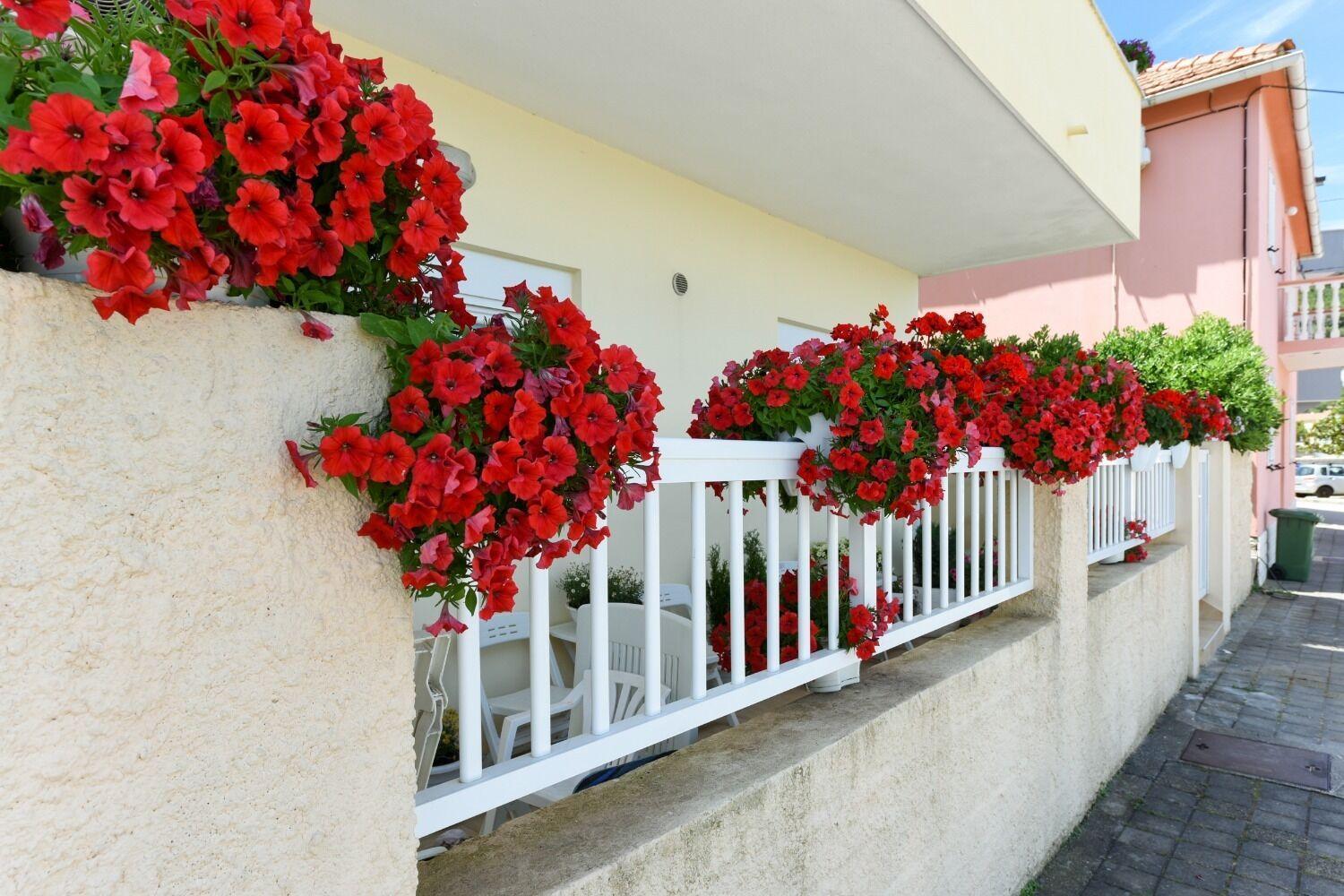 Apartments Kolt - 15M From Sea Kali Exterior photo